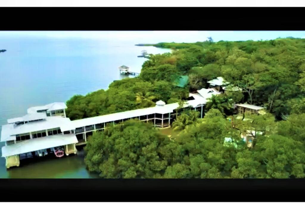 The Dock Resort Over Water Retreat West End Eksteriør bilde